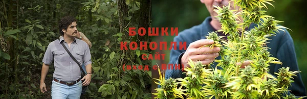 PSILOCYBIN Покров
