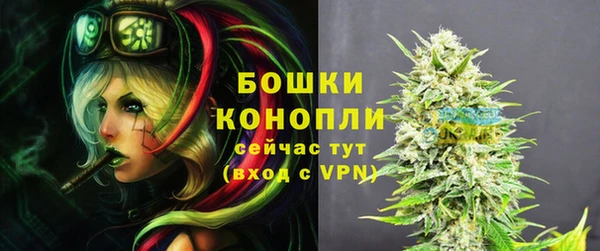 альфа пвп Дмитровск
