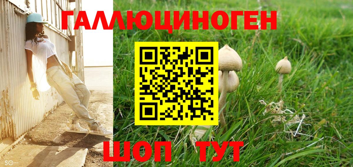 Сокол  Галлюциногенные грибы мицелий  Вход с VPN 