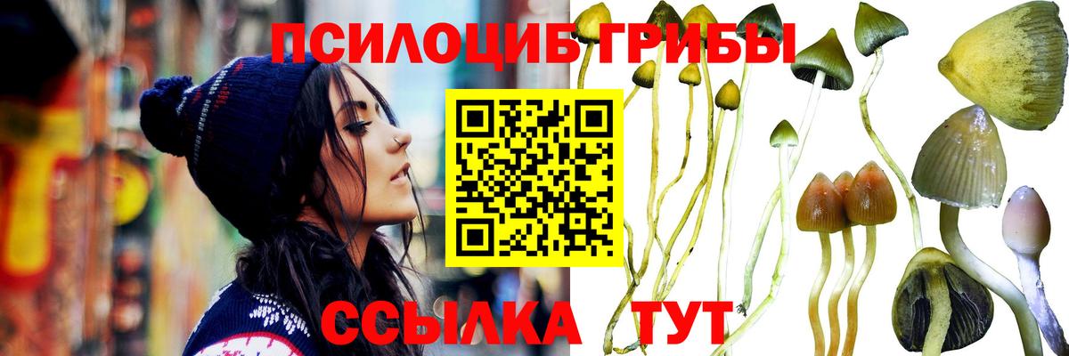 Галлюциногенные грибы ЛСД Сокол